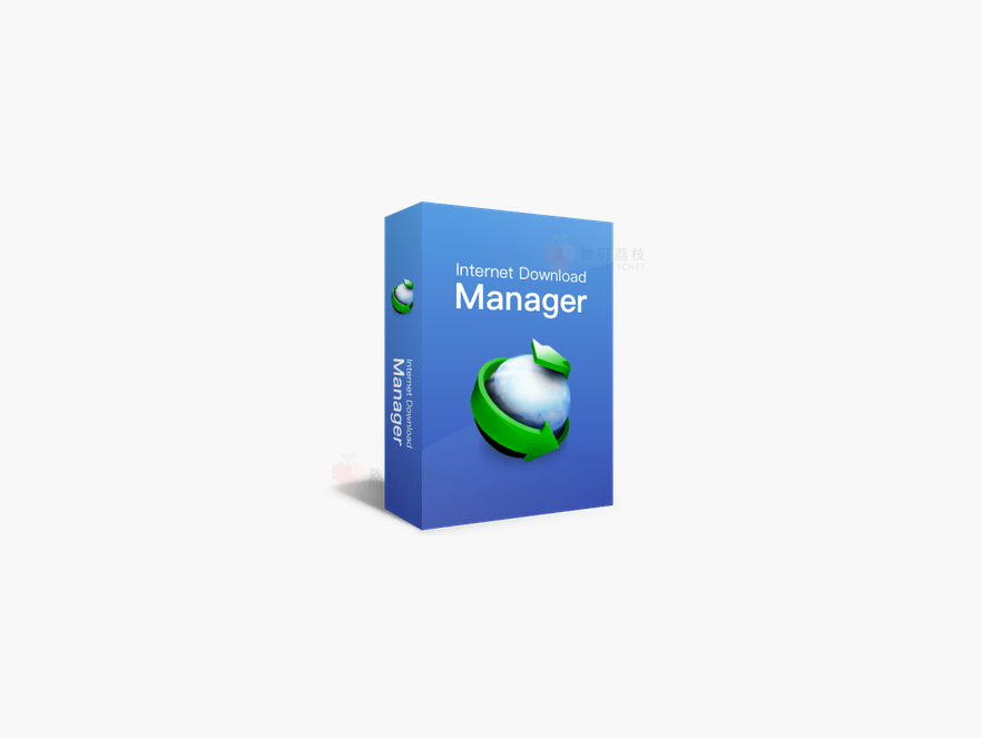 Internet Download Manager - 网络应用