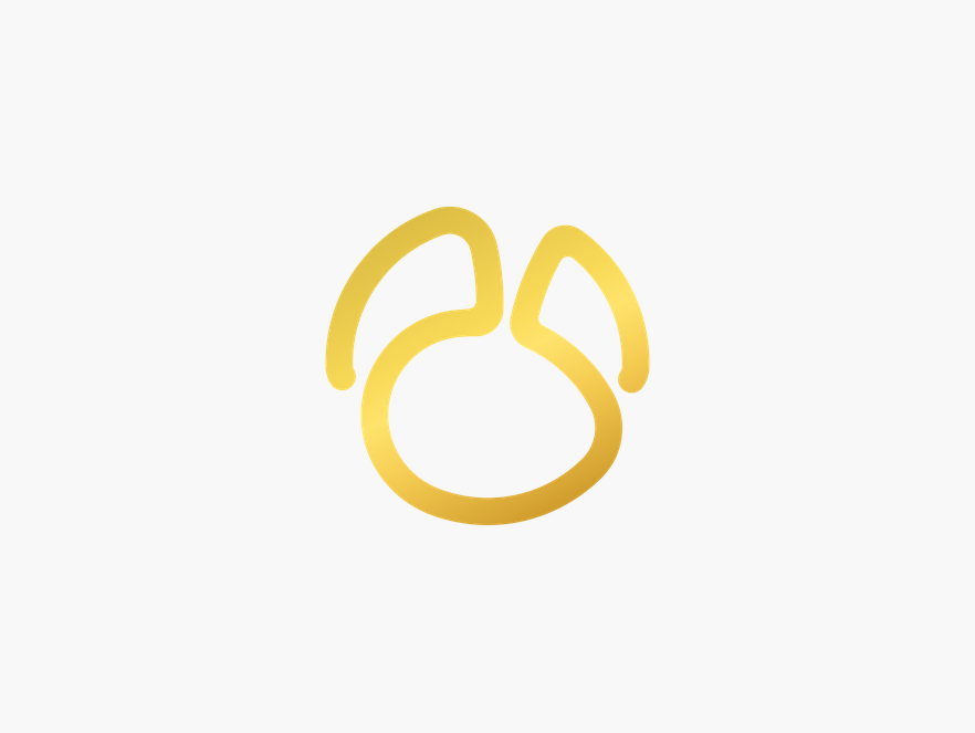 Navicat Premium - 编程开发