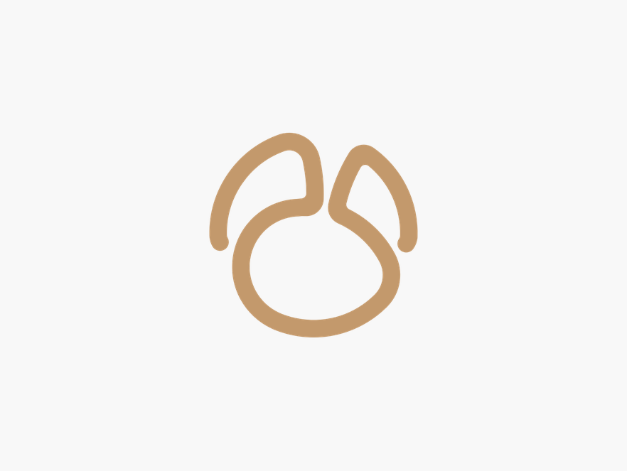 Navicat for MariaDB - 编程开发