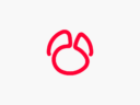 Navicat for Oracle - 编程开发