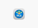 SmartPLS 4 - 编程开发