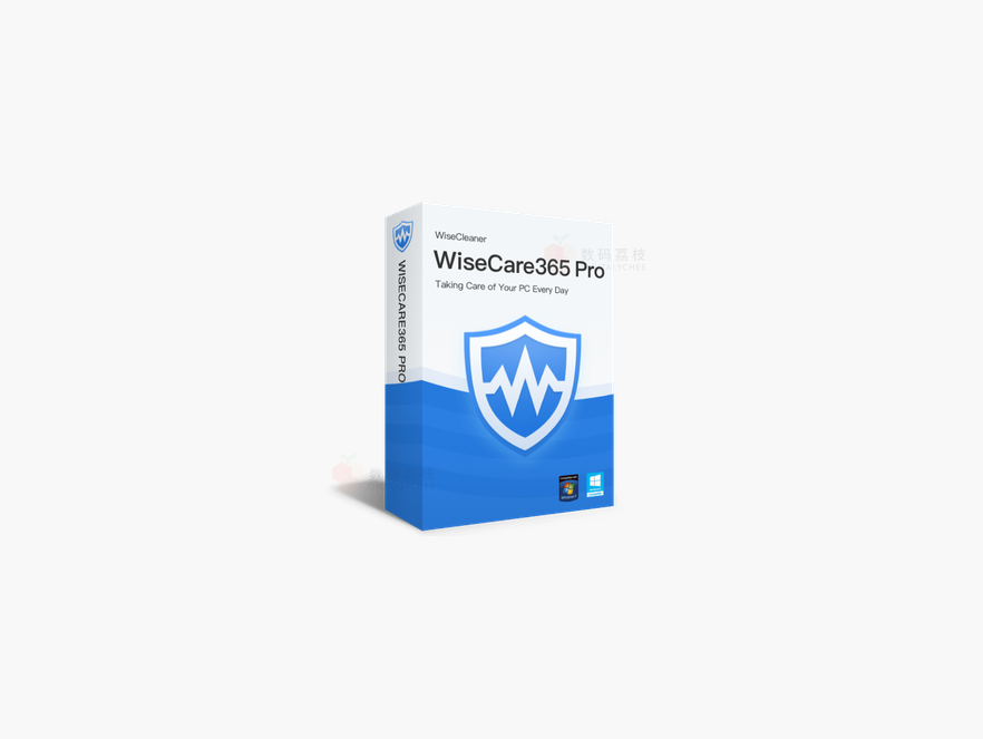 Wise Care 365 Pro - 系统优化